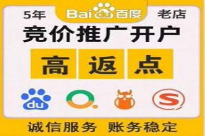 信息流代理实战：精准广告投放案例分析